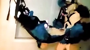 Furry promised added to fucked