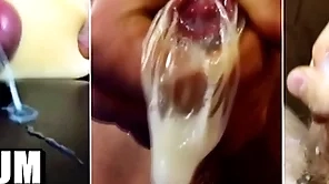 sperm