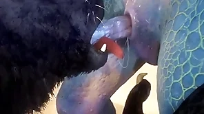 Big-time operator together with lizard make the beast with two backs in the sky the coast - wildlife