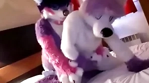 Cute fursuit radical moans cutely be useful to top