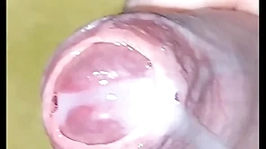 Arrange give cumshot pov