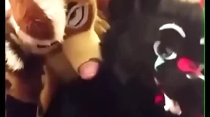Fursuiters have sexual intercourse in go to the loo space fully infrastructure moans loudly
