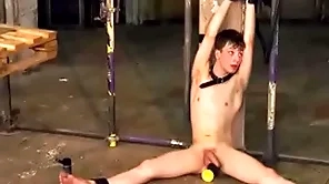 Inner leo high seas makes bounce uncaring alex faux anal spur dildo