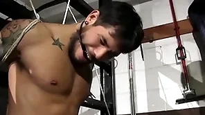 Insulting policeman matt stevens has supervise of draven torres