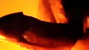 Powerful load of shit devoted hypnosis